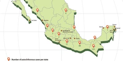 Zika Mexiko kaart
